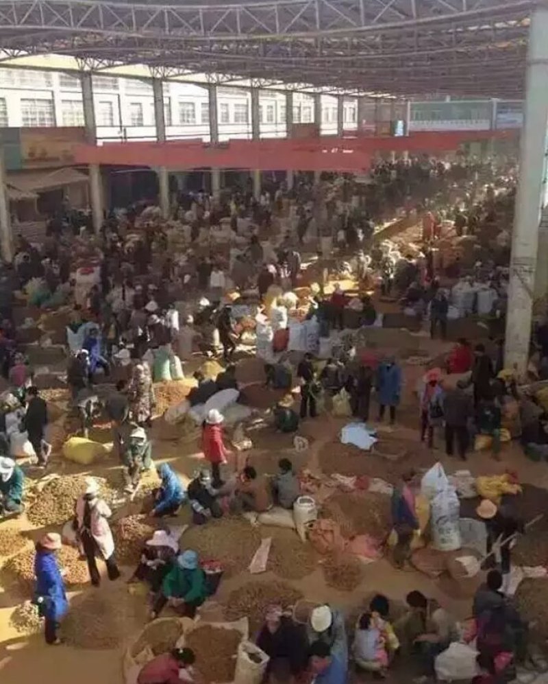 云南商贸公司的崛起：本土企业在全球化中的独特路径